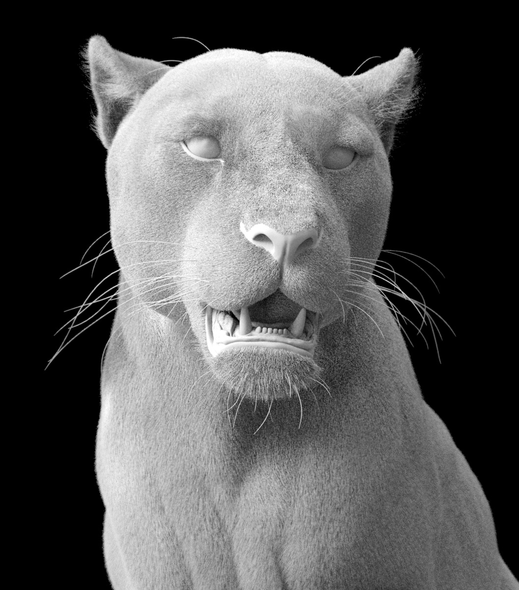 Leopard-clay