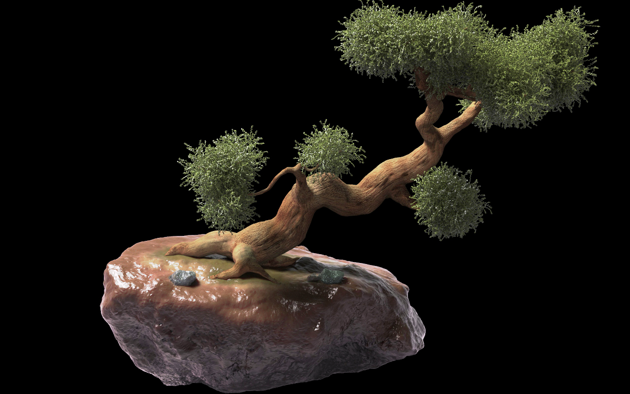 elaborazioneAlbero.jpg