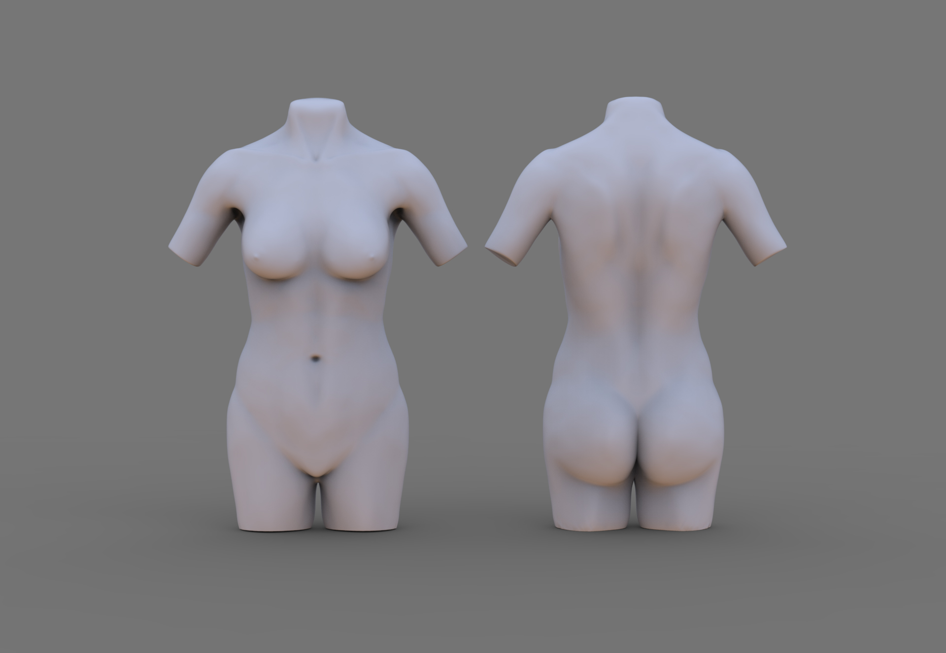 Female Torso.jpg