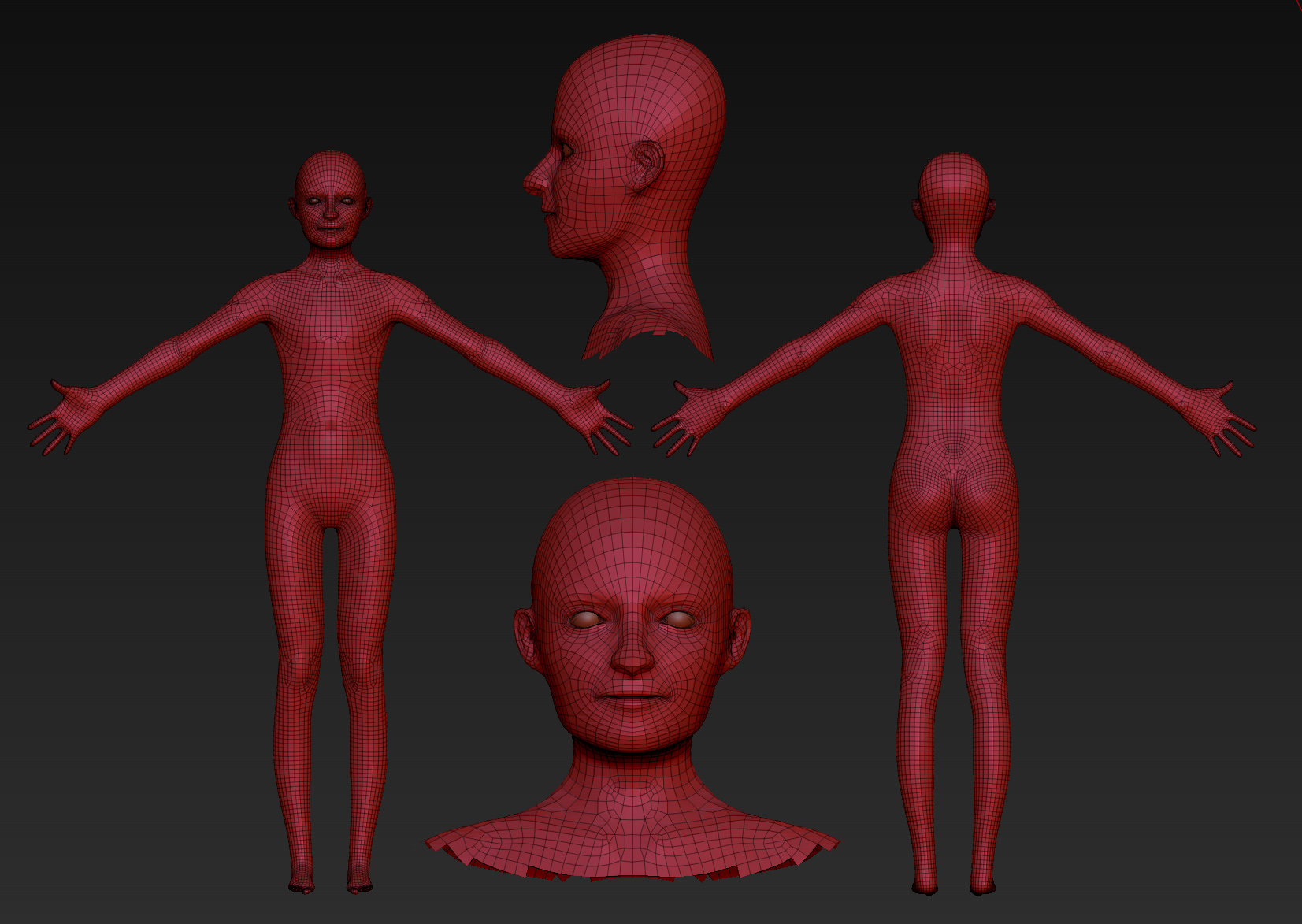 basemesh.jpg