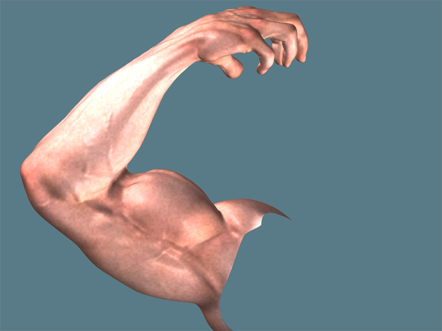 Arm_02_Web.jpg