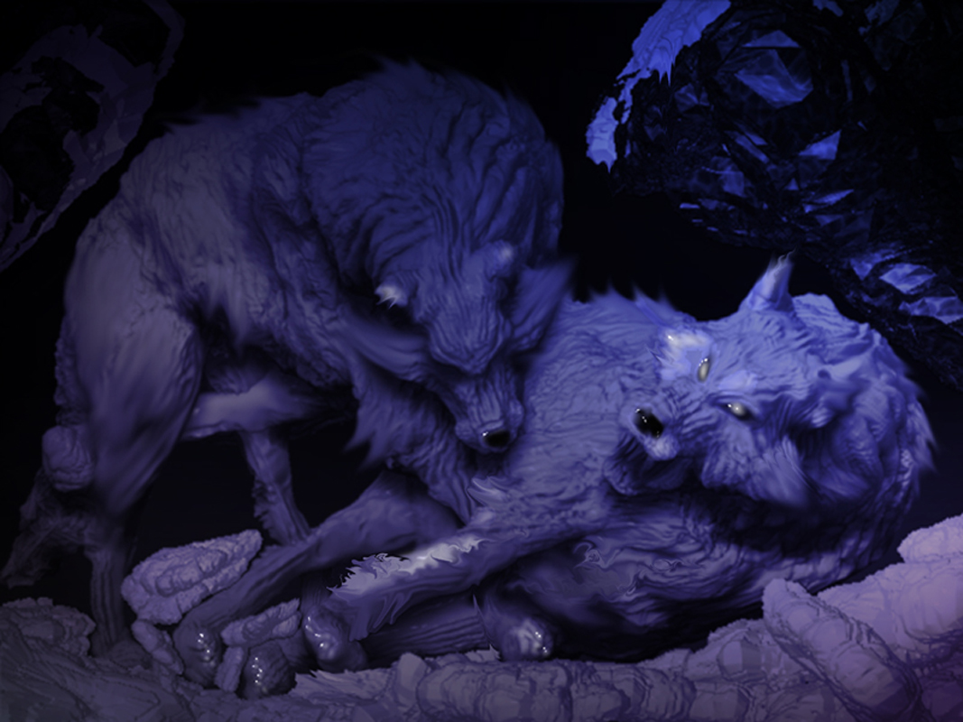 WOLF_42.jpg