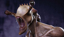 final_thumb.jpg