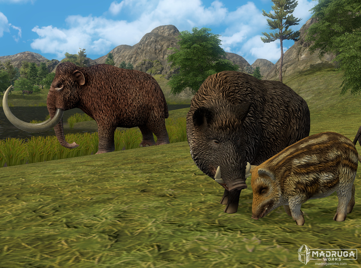 screen_boar_01
