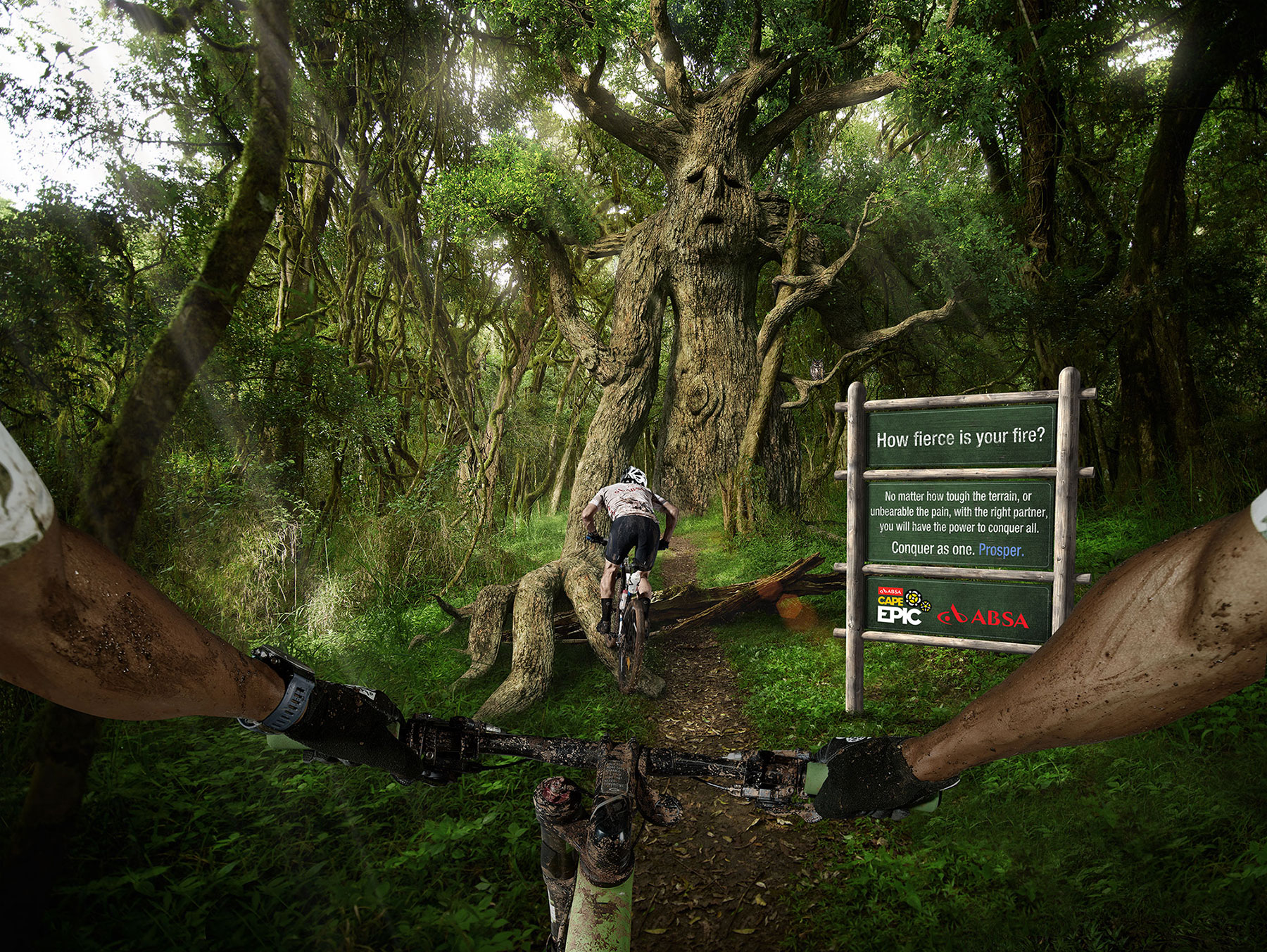 Final-FOREST-ABSA.jpg