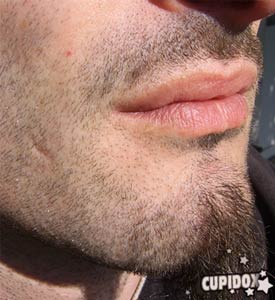 cupidoxcaptainbud10rm3.jpg
