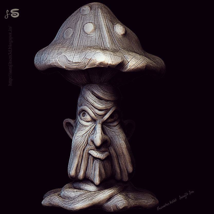 Frusted_Mashroom_Sculpt_SurajitSen_10112017_INSTA_L.jpg