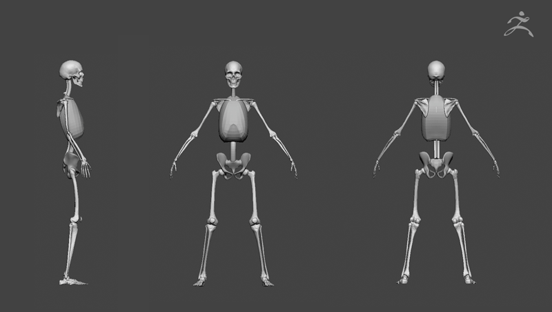 zBrush_Body_01