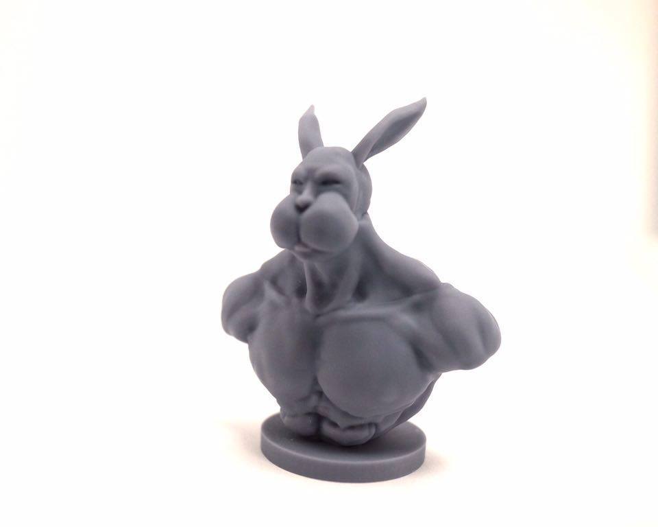 3dPrint_015.jpg