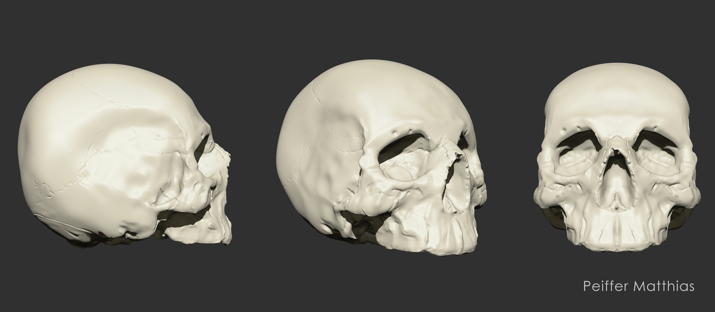 Skull_2_18_2017.jpg
