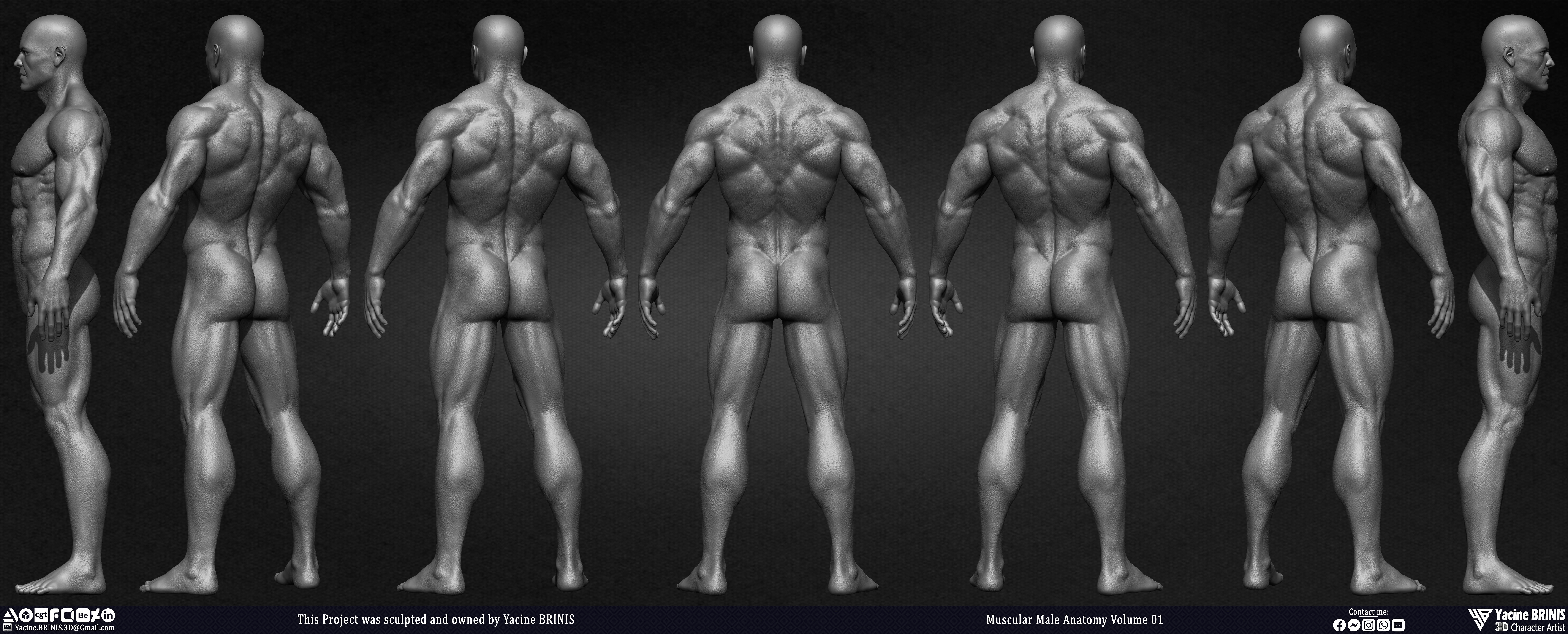 Muscular Male Anatomy 3D Character sculpted by Yacine BRINIS 003