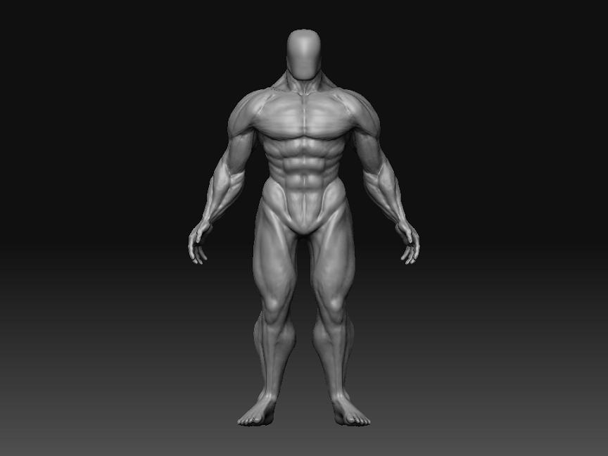 MaleFront.jpg