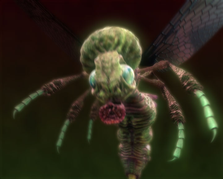 id_mitecomp01.jpg