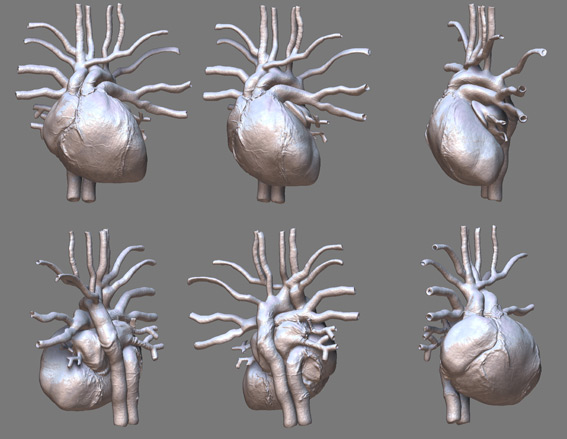 heart.jpg