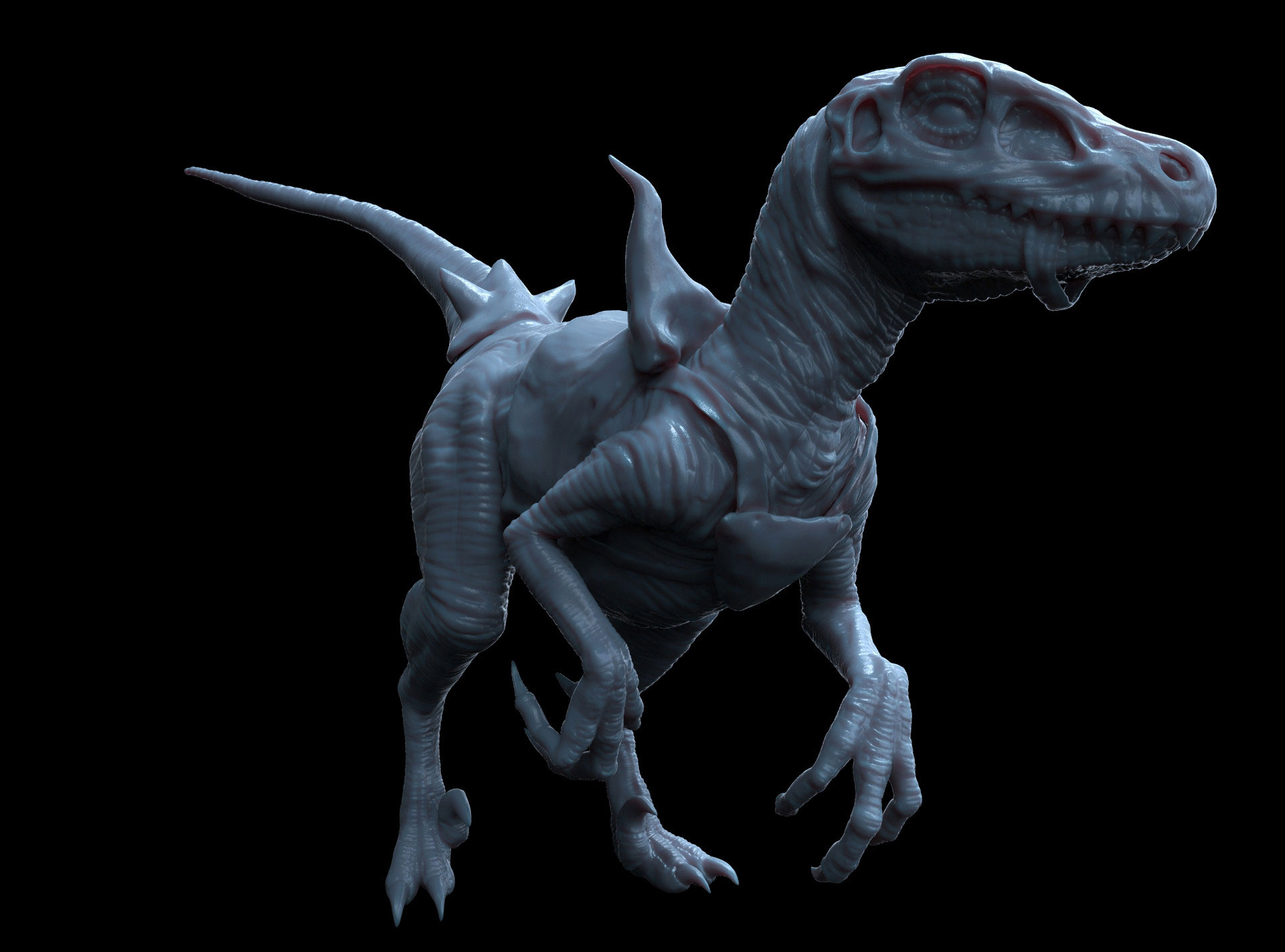 raptorHigh.jpg