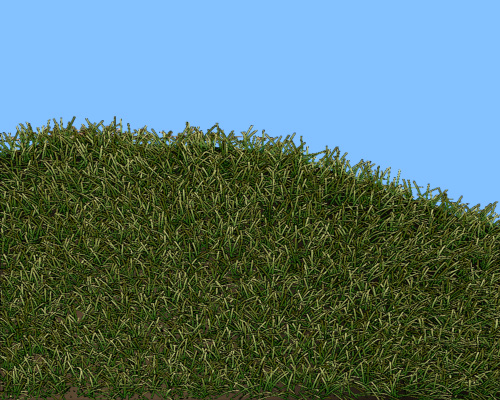 grass003.jpg