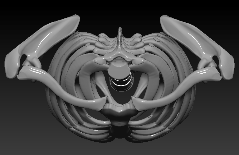 ZBrush Documentplastictopview3.jpg