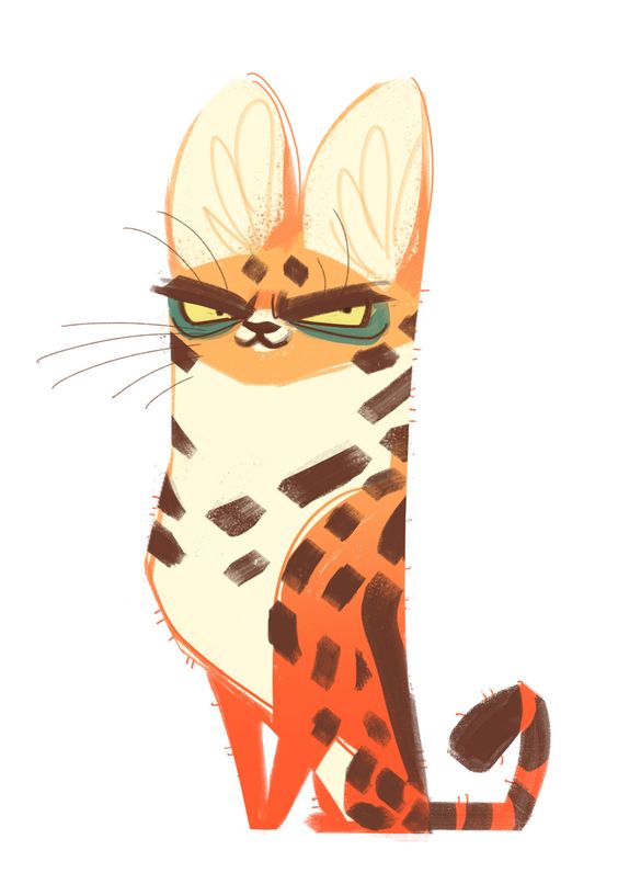 Cheetah