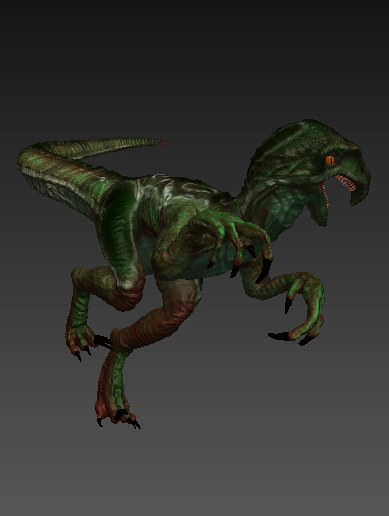 raptor-3.jpg
