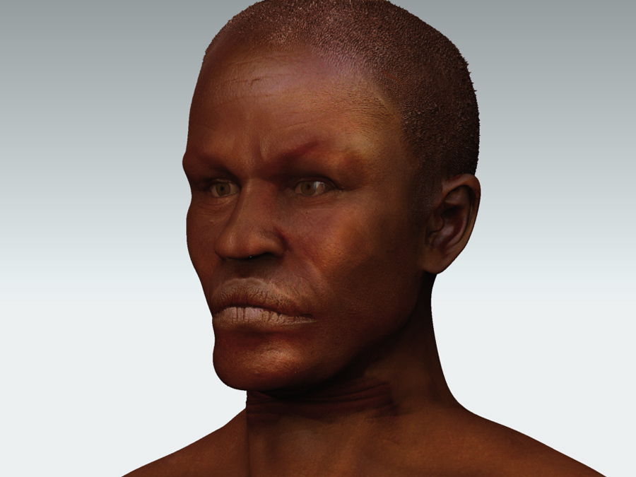 head_persp.jpg