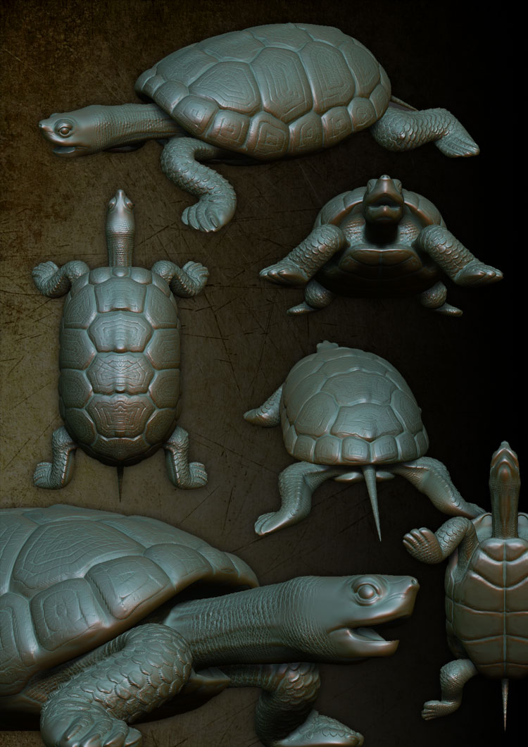 turtle_pond_zb.jpg