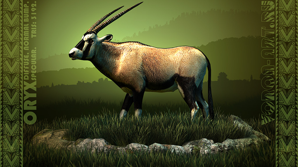 oryx01.jpg