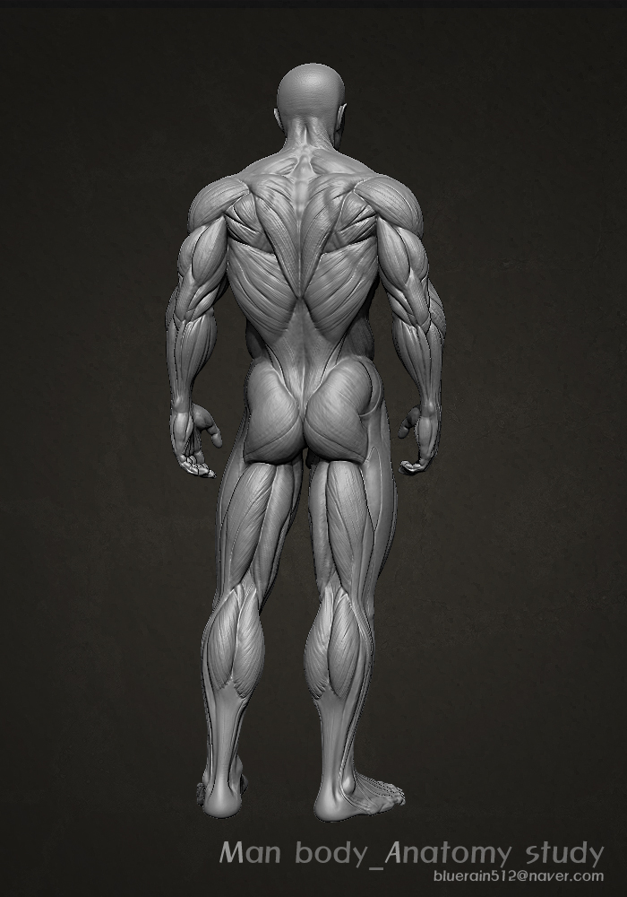 body_03.jpg