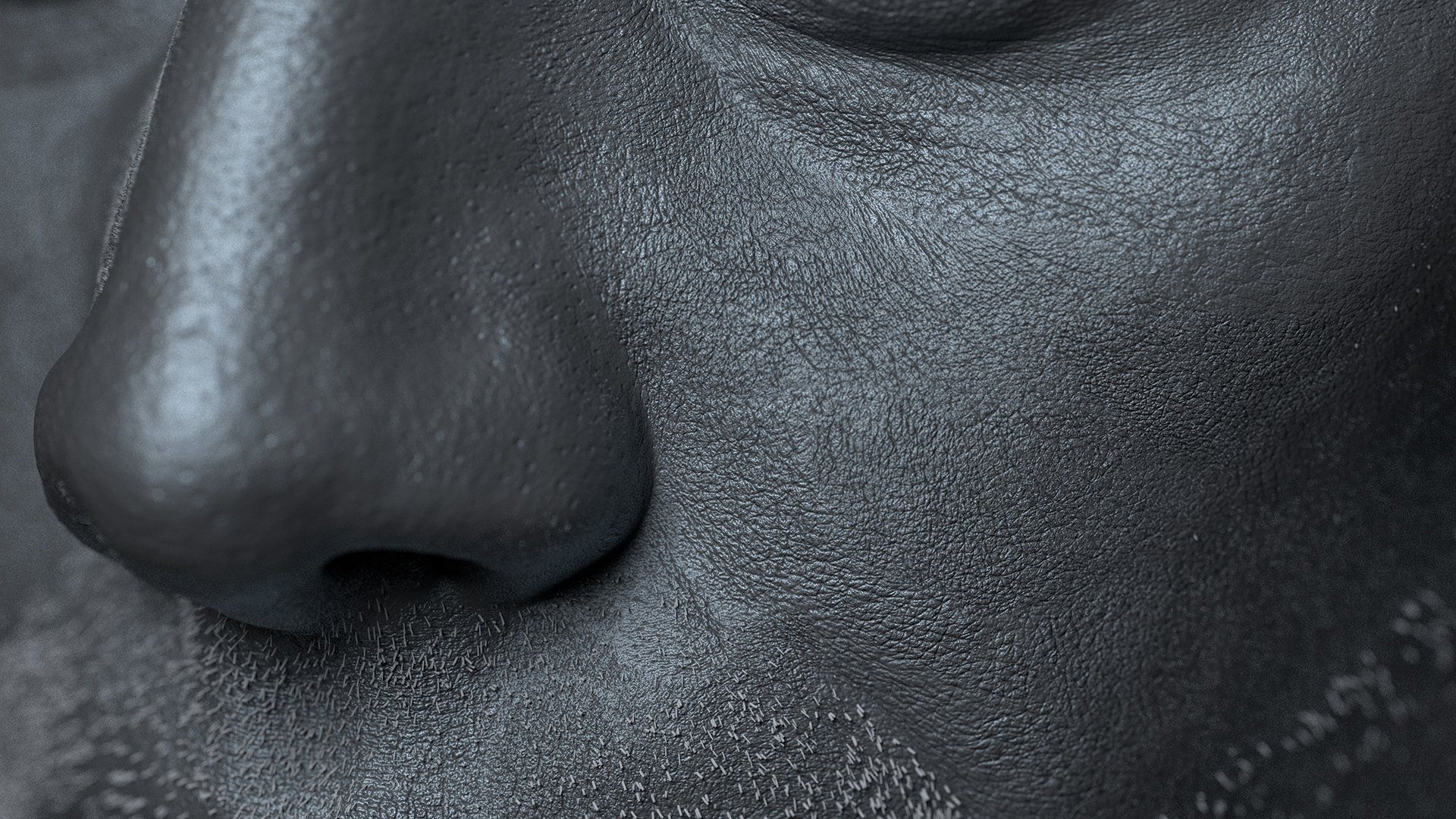 Nose & Cheeck 2K Hair.jpg