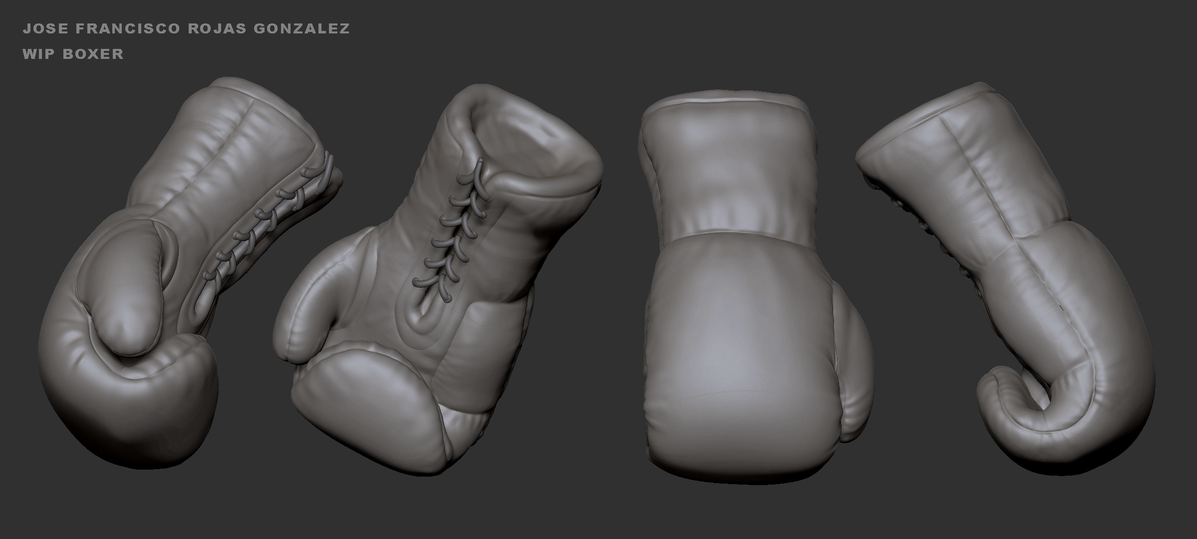 Boxer_03.jpg