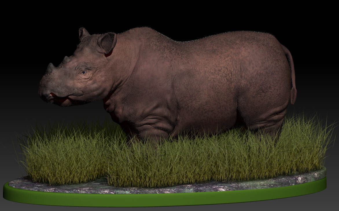 RhinoImg10.jpg