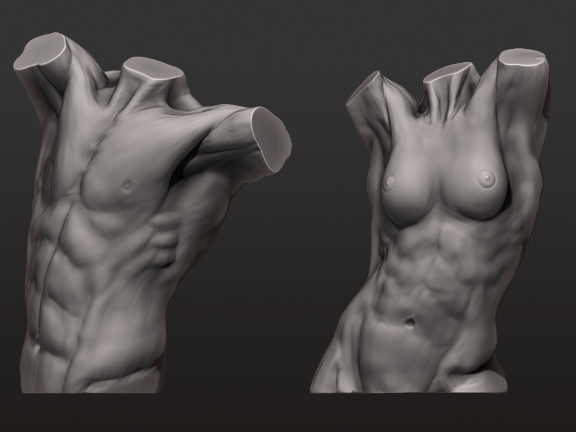 Torso_3.jpg