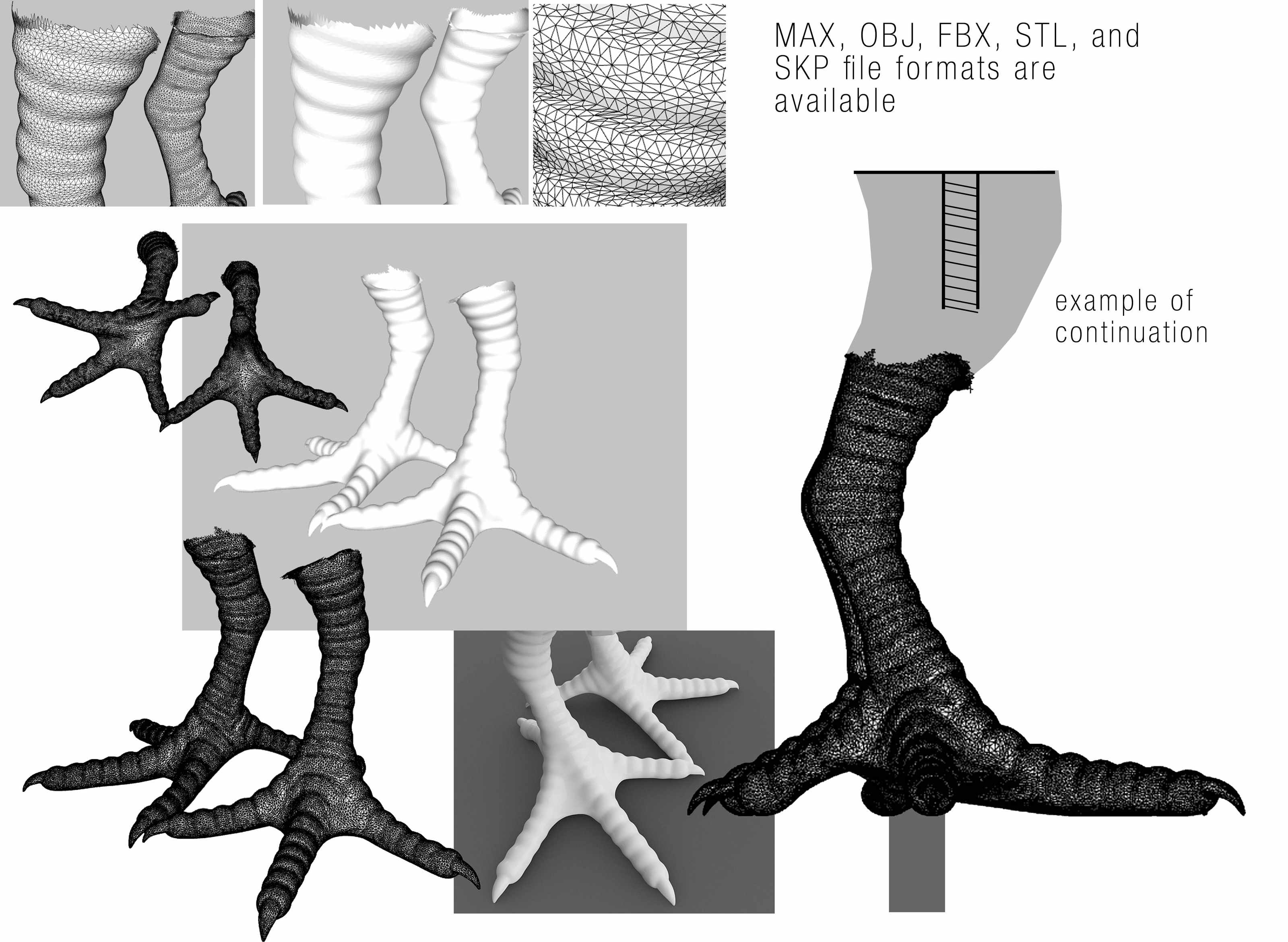 leg model work copy2.jpg