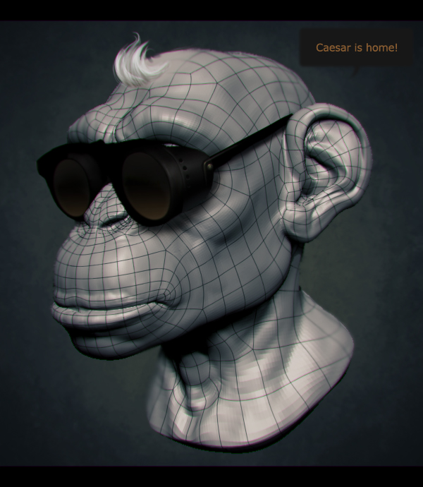Chimp_5.jpg