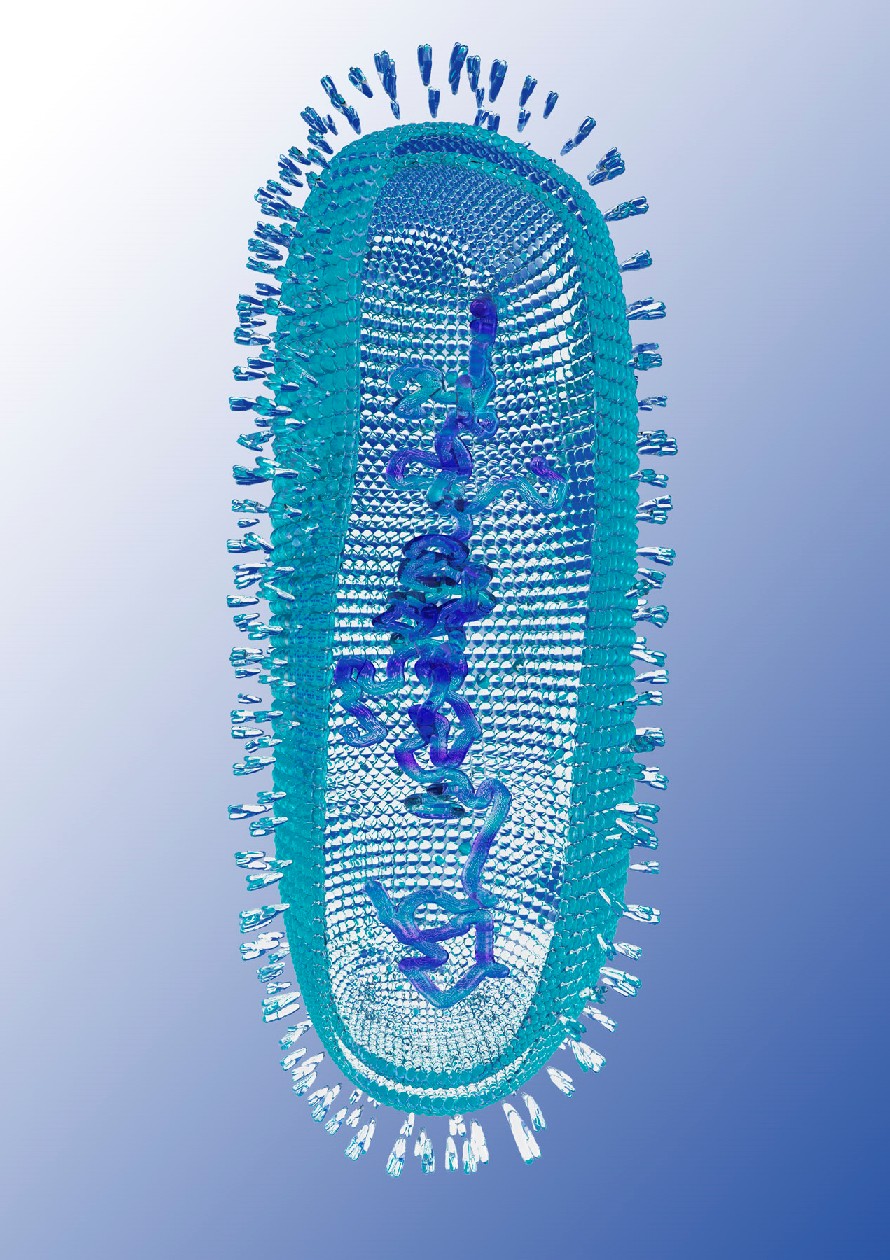 Glass Flu virus 01.jpg
