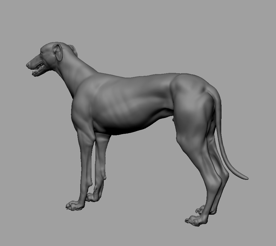 Tonie_wip_02.jpg