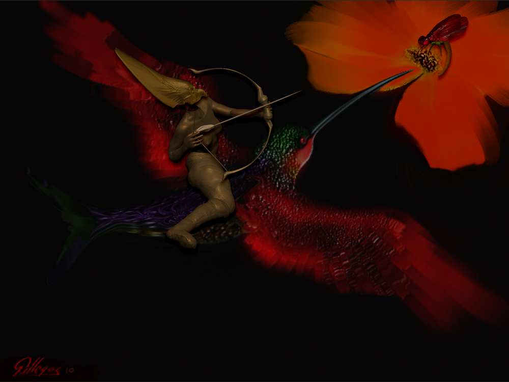 HUMMING BIRD.jpg