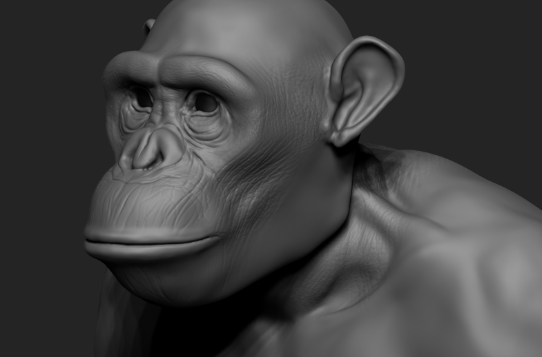 chimp10.png