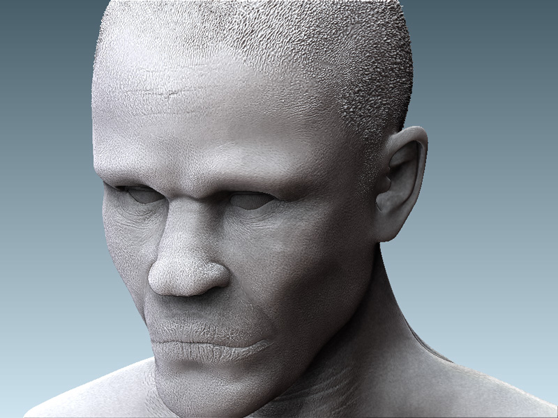 head1.jpg