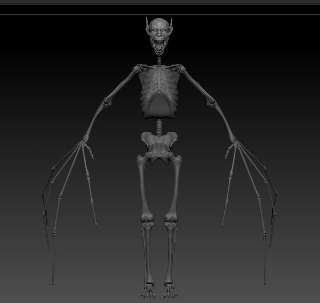 2_SkeletonBones.jpg