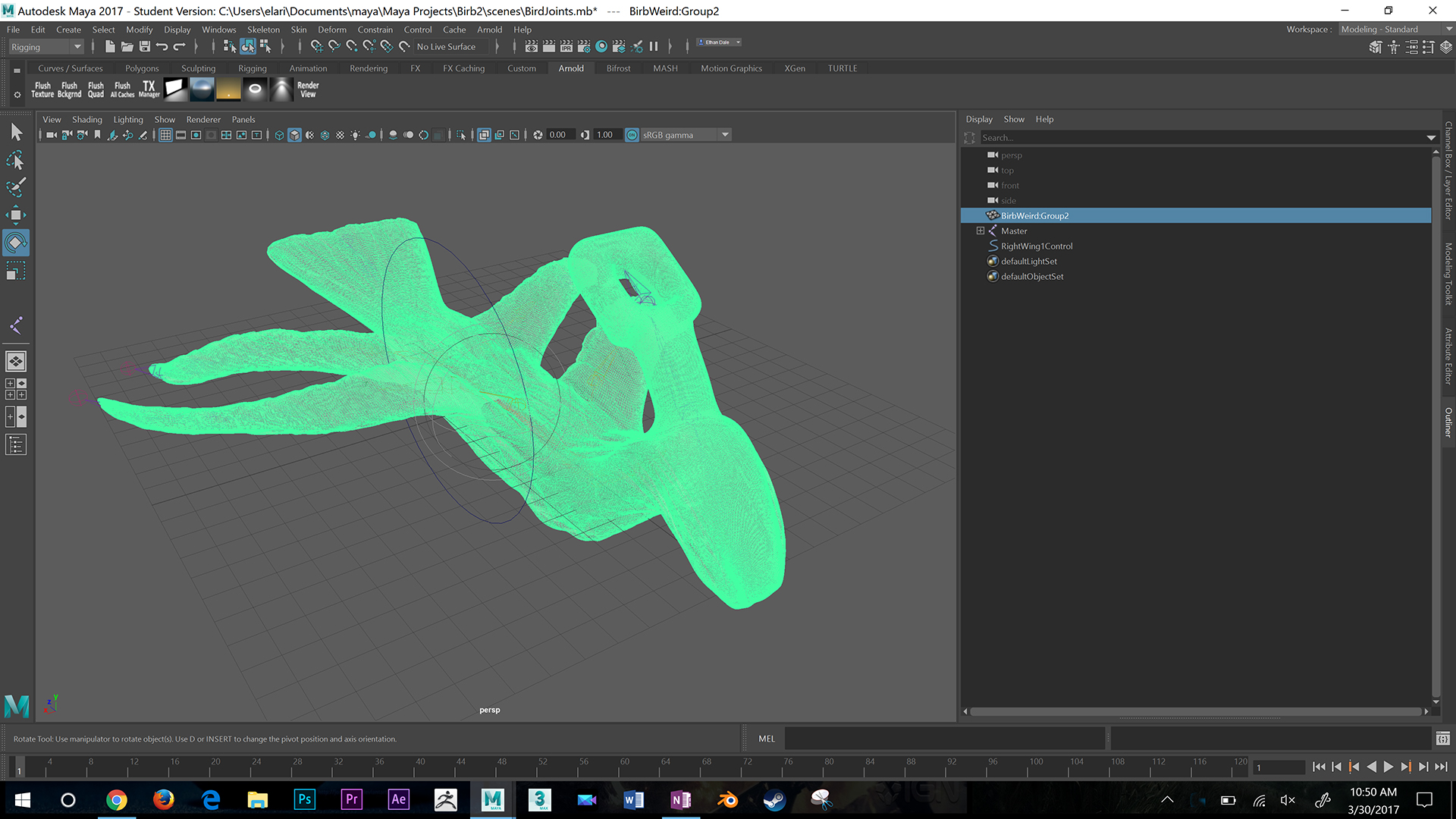 Bird2Maya.jpg
