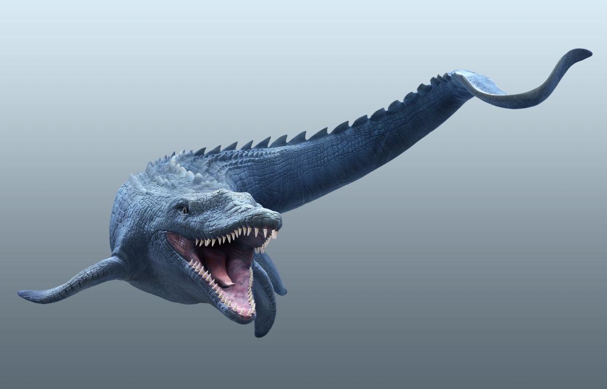 mosasaurus_A_s