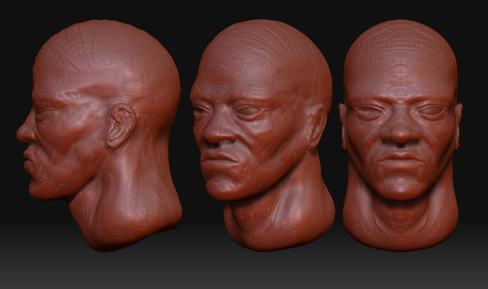 bust4_sheet.jpg