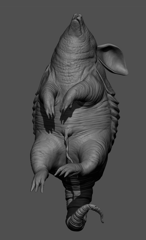 Tatusia_3479_Zbrush01.jpg