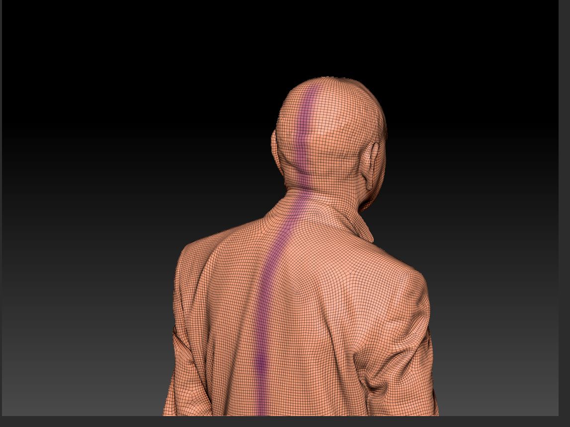 Heavy mesh.JPG