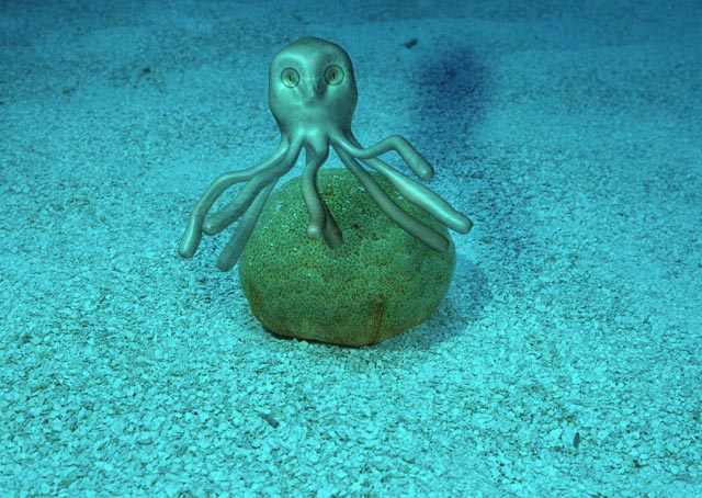 octopus.jpg