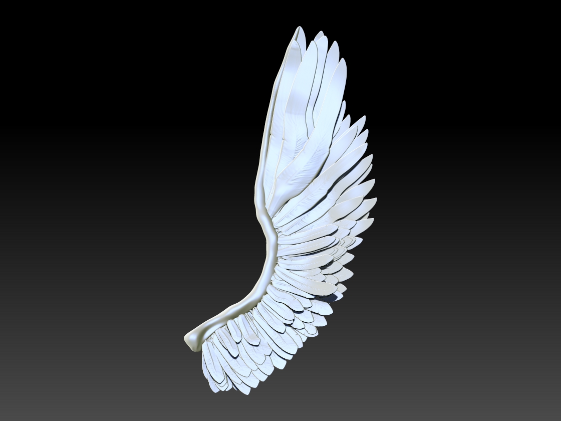 Wing final.jpg