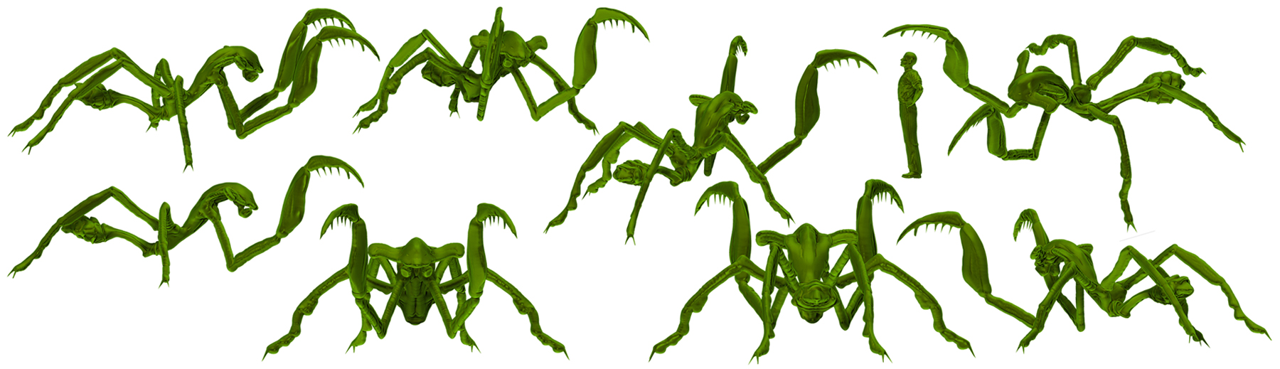 Mantosphyrna 2 s.jpg