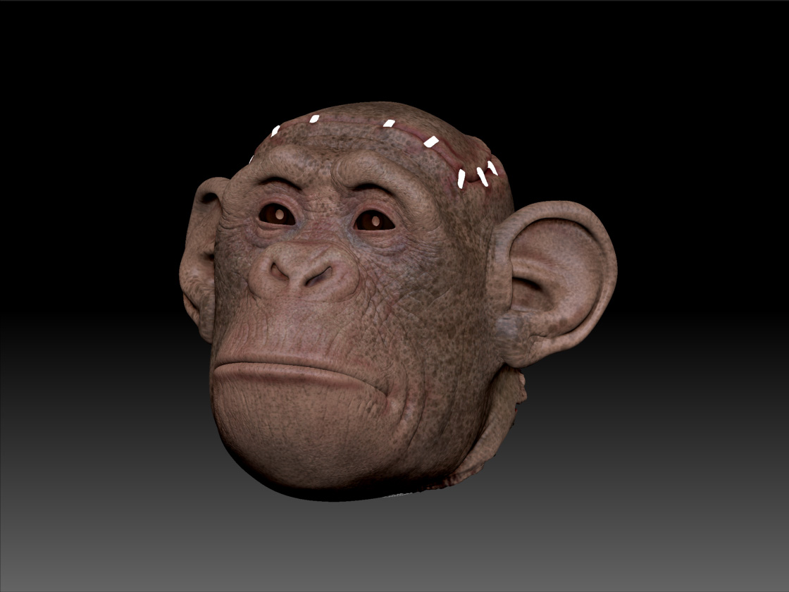 MonkeyFaceRobot_47_ZB_texture_01.jpg