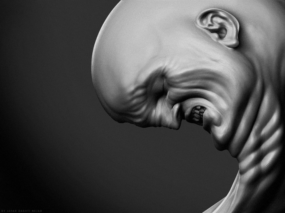 curved04.jpg