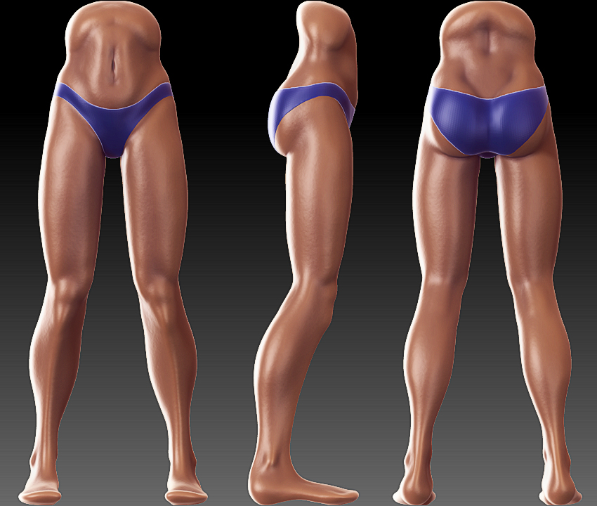 fem_legs_wip2.jpg